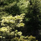 Reportage de France 3 Lorraine