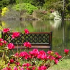 Le jardin début mai