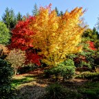 Couleurs fin octobre 2026
