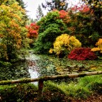 Couleurs d&rsquo;automne 2026 (suite)